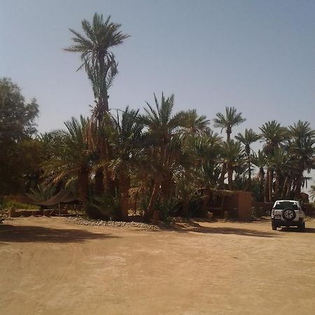 Kasbah Les Alizes Du Desert M'Hamid Ngoại thất bức ảnh