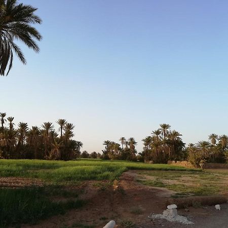 Kasbah Les Alizes Du Desert M'Hamid Ngoại thất bức ảnh