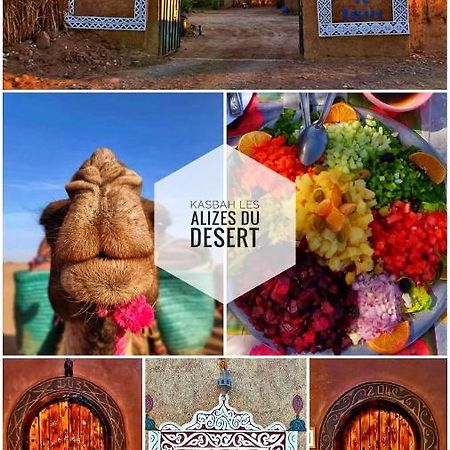 Kasbah Les Alizes Du Desert M'Hamid Ngoại thất bức ảnh