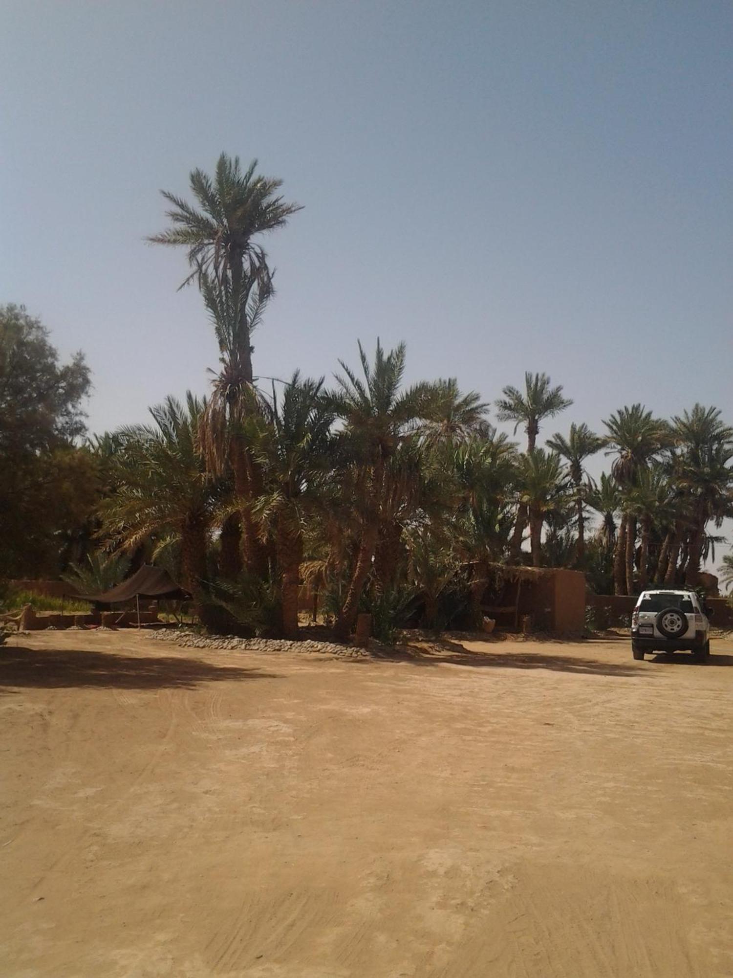 Kasbah Les Alizes Du Desert M'Hamid Ngoại thất bức ảnh