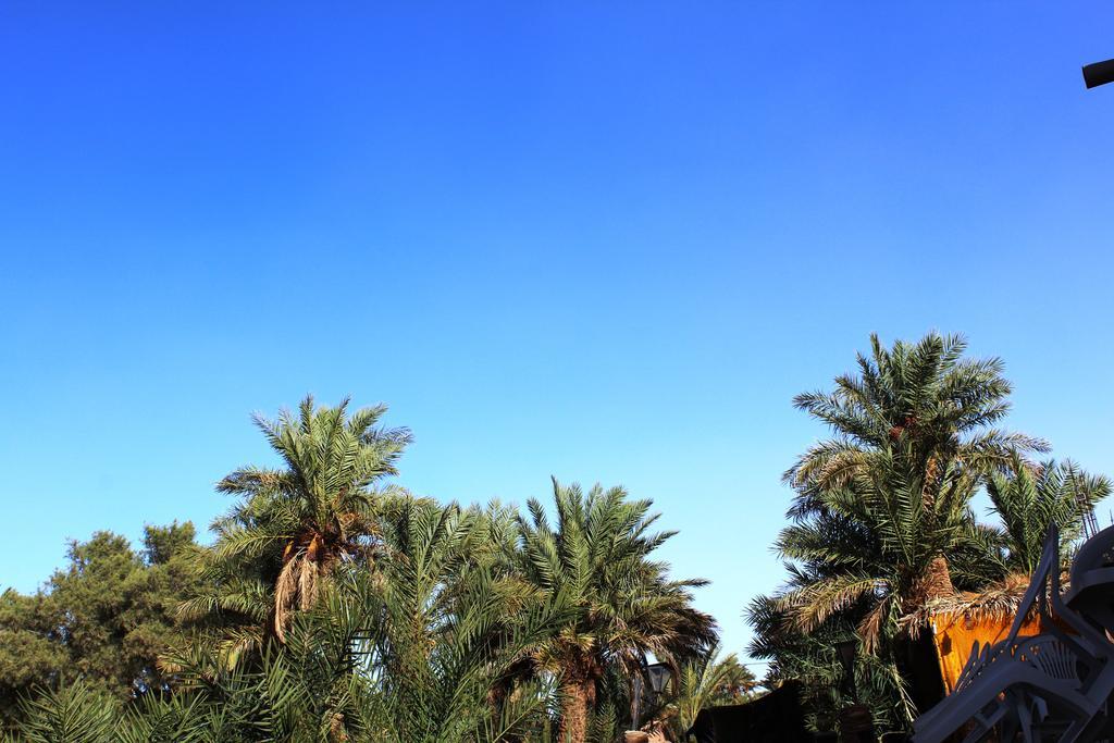 Kasbah Les Alizes Du Desert M'Hamid Ngoại thất bức ảnh