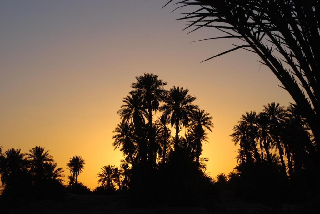 Kasbah Les Alizes Du Desert M'Hamid Ngoại thất bức ảnh