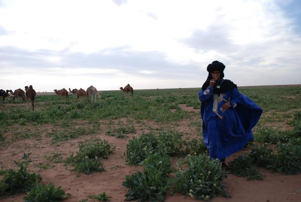 Kasbah Les Alizes Du Desert M'Hamid Ngoại thất bức ảnh