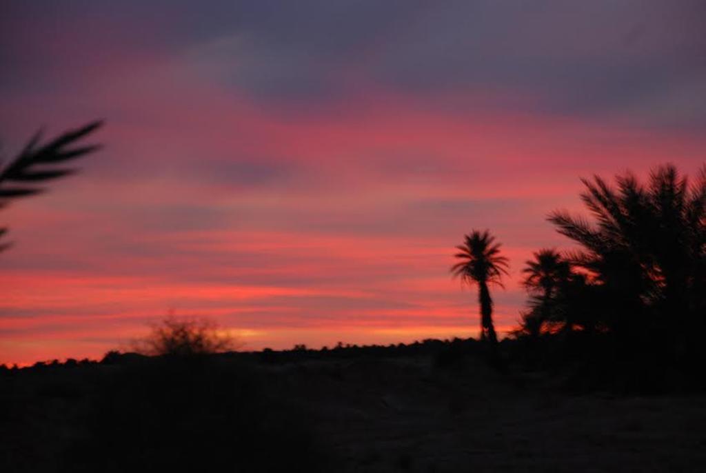 Kasbah Les Alizes Du Desert M'Hamid Ngoại thất bức ảnh