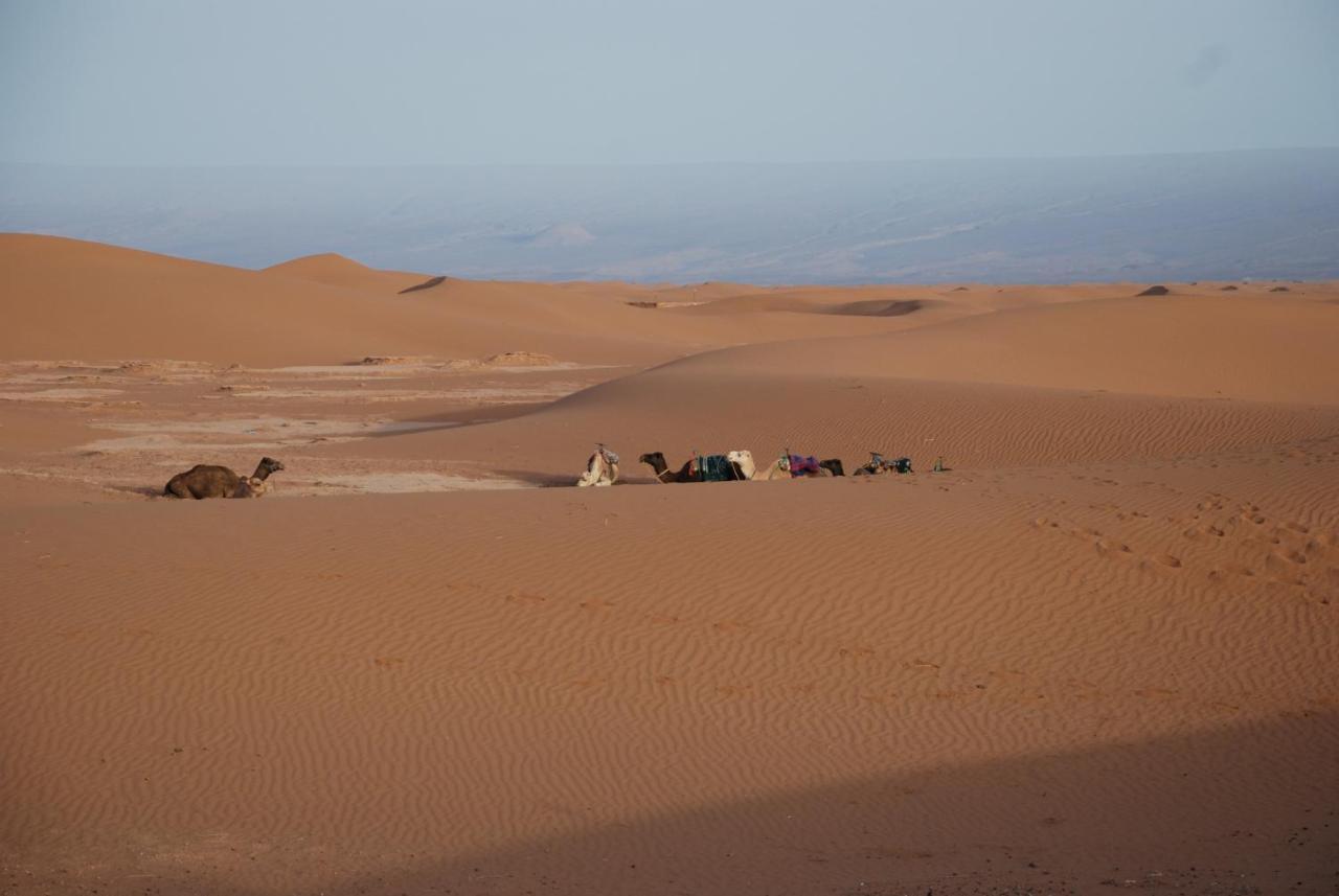Kasbah Les Alizes Du Desert M'Hamid Ngoại thất bức ảnh