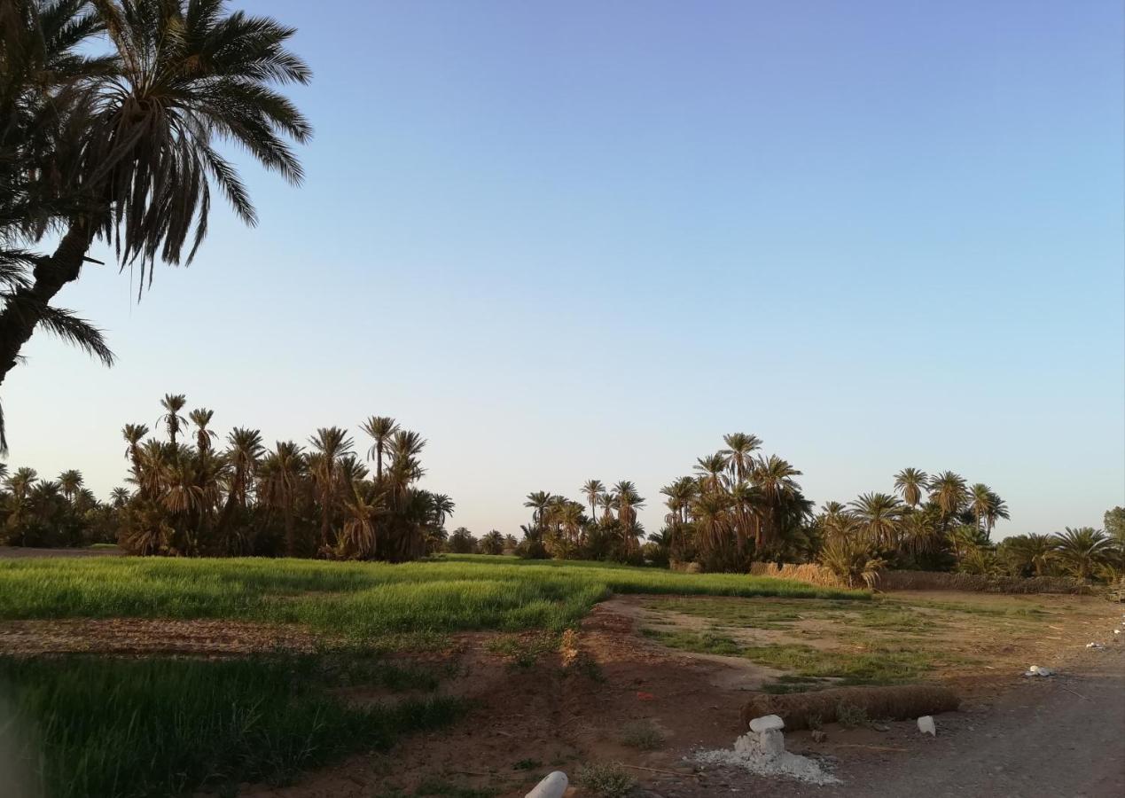 Kasbah Les Alizes Du Desert M'Hamid Ngoại thất bức ảnh