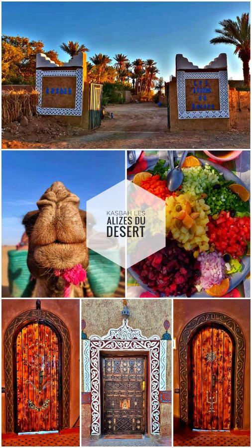Kasbah Les Alizes Du Desert M'Hamid Ngoại thất bức ảnh