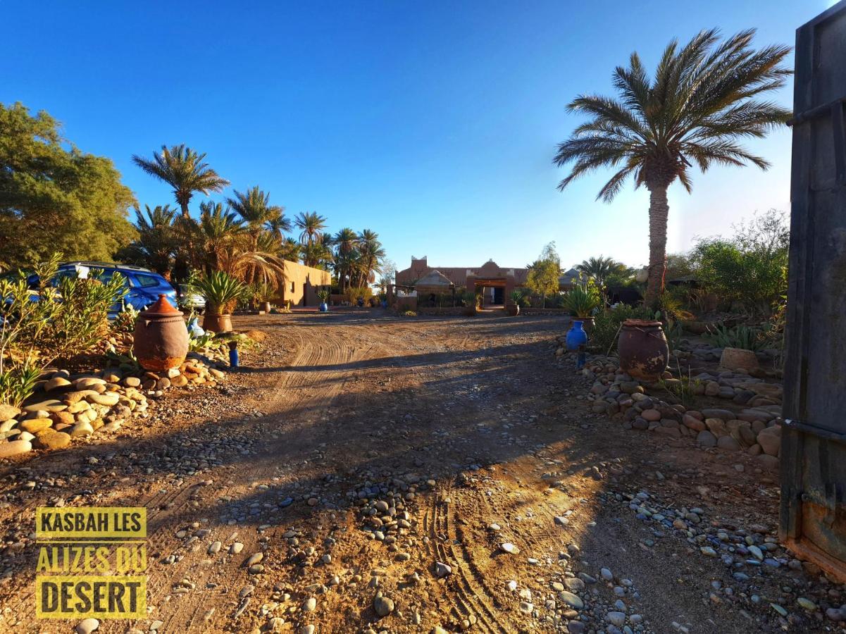 Kasbah Les Alizes Du Desert M'Hamid Ngoại thất bức ảnh