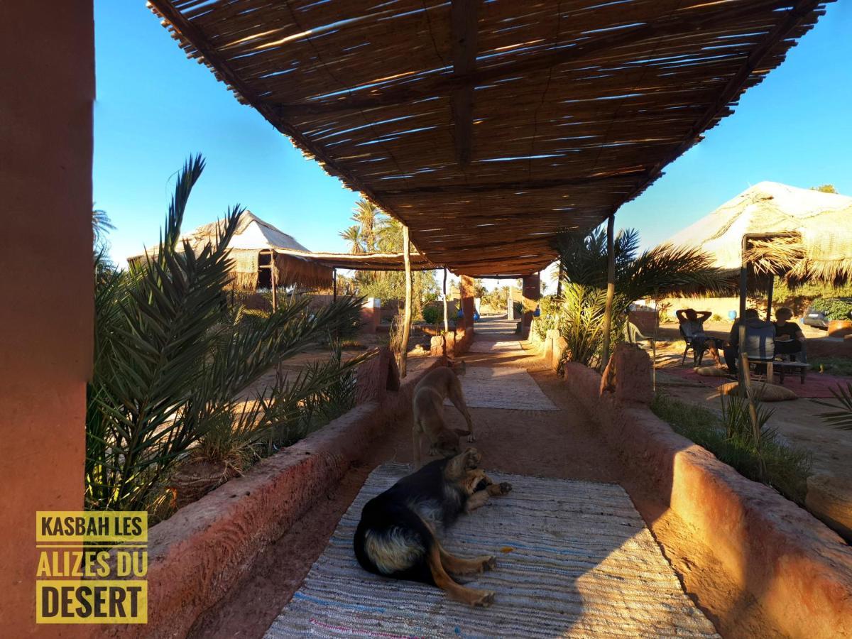 Kasbah Les Alizes Du Desert M'Hamid Ngoại thất bức ảnh