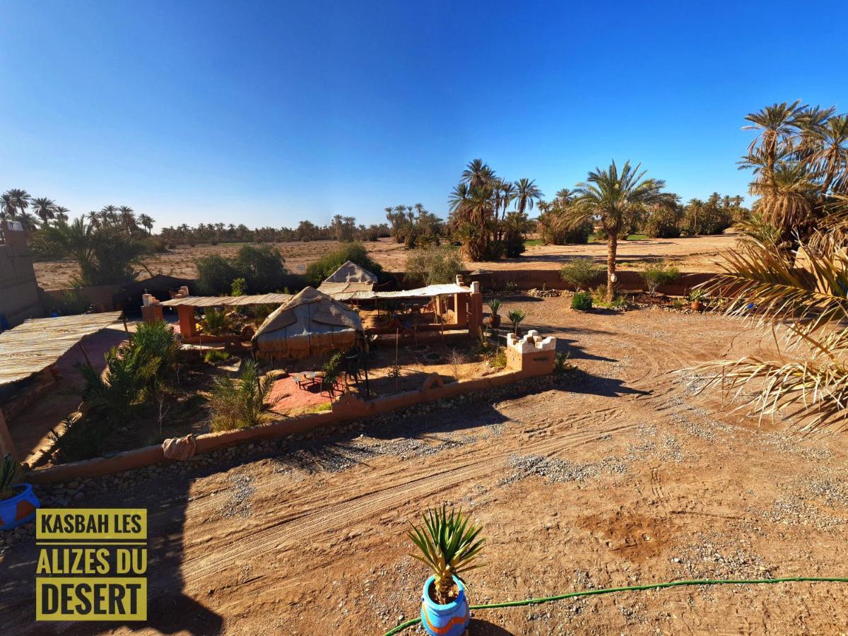 Kasbah Les Alizes Du Desert M'Hamid Ngoại thất bức ảnh