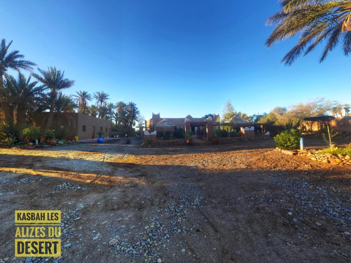 Kasbah Les Alizes Du Desert M'Hamid Ngoại thất bức ảnh